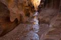 009 USA, Skutumpah Road, Willis Creek